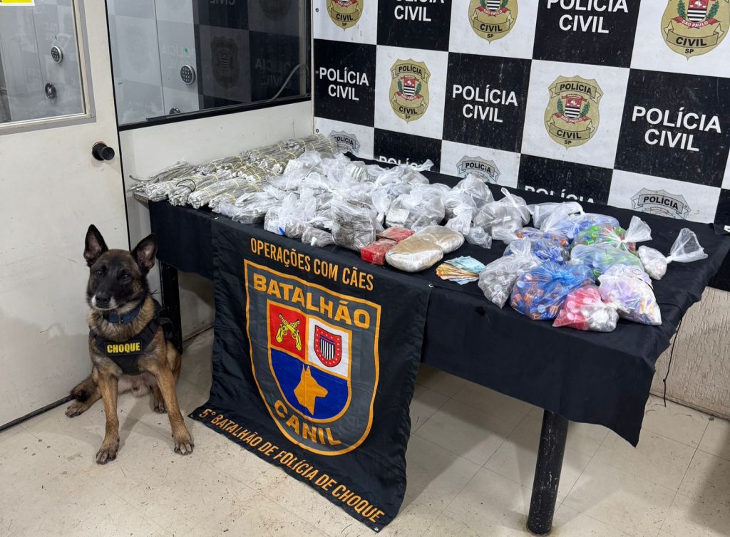 O pastor-belga-malinois Machi, da PM-SP