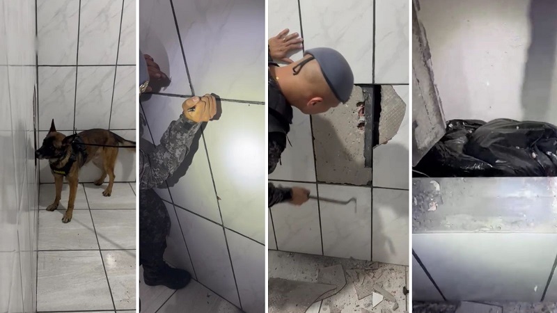 O pastor-belga-malinois Machi, da PM-SP